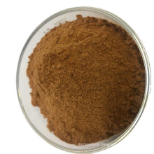 Dried Boletus Edulis Powder Porcini Mushroom Flour